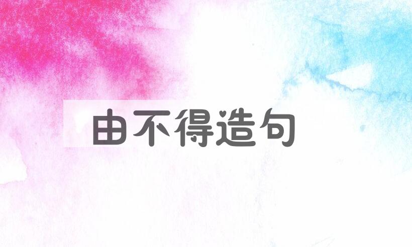 用由不得造句