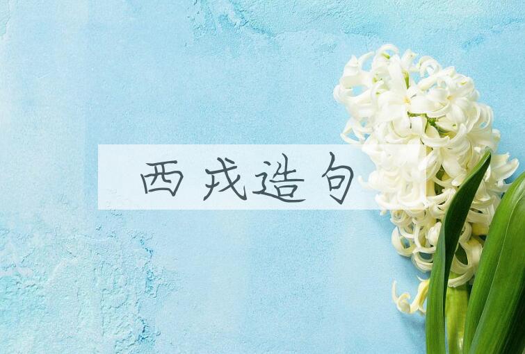 用西戎造句