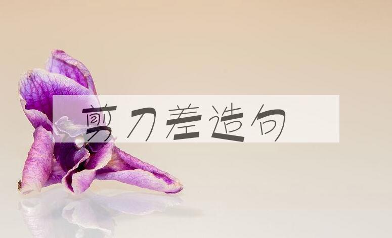 用剪刀差造句