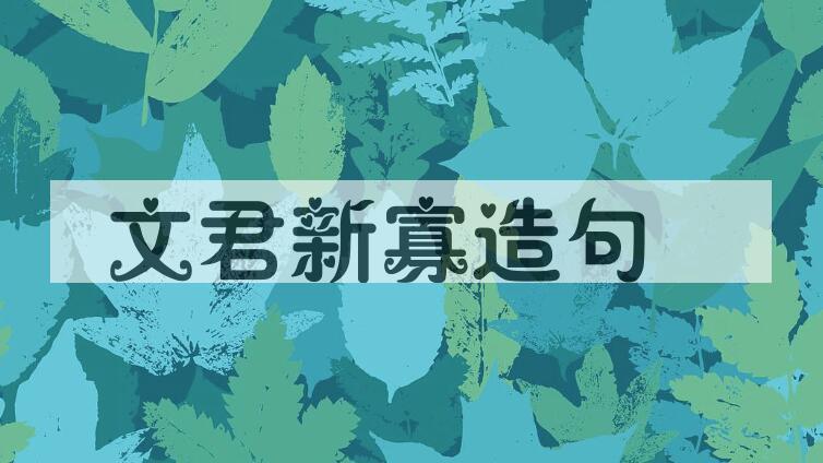 用文君新寡造句