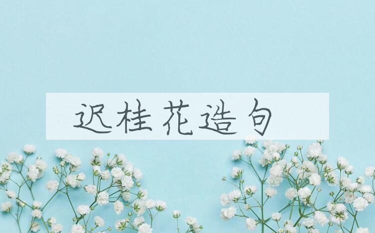 用迟桂花造句
