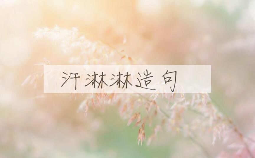 用汗淋淋造句