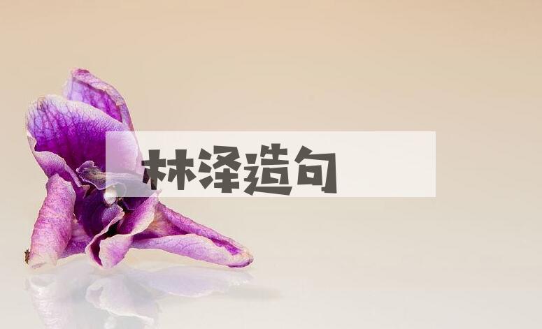 用林泽造句