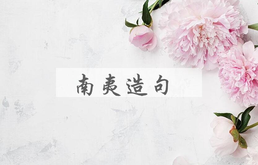 用南夷造句