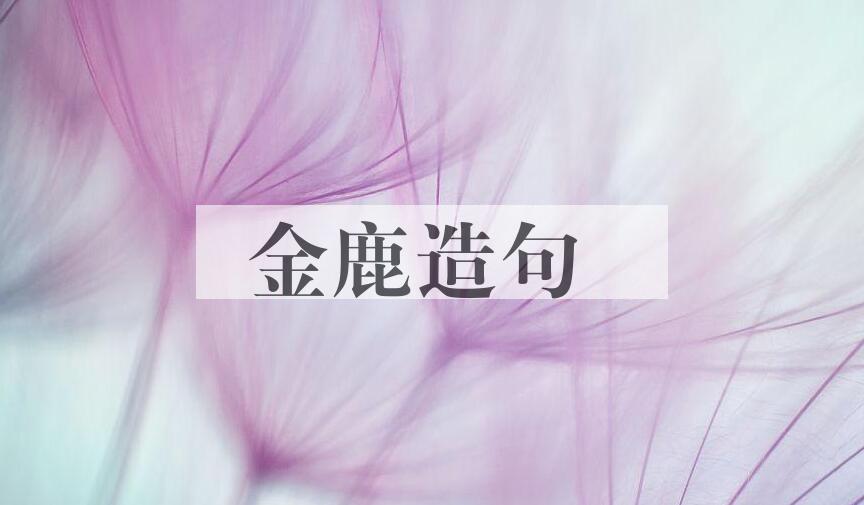 用金鹿造句