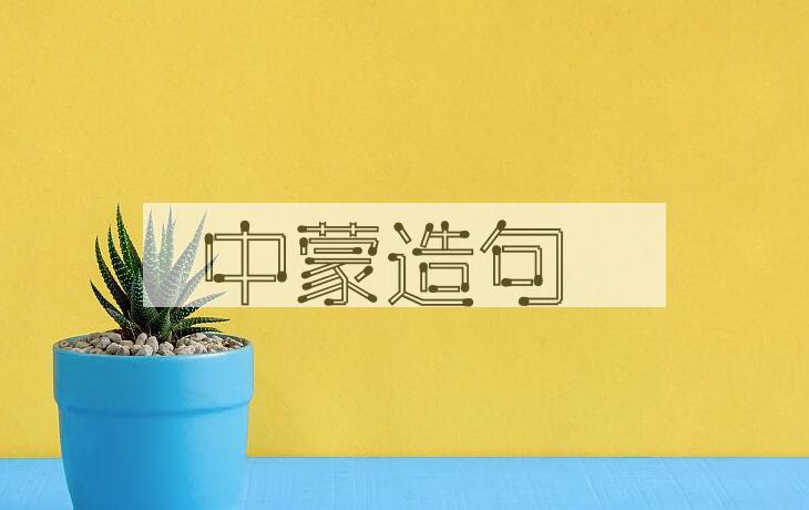 用中蒙造句