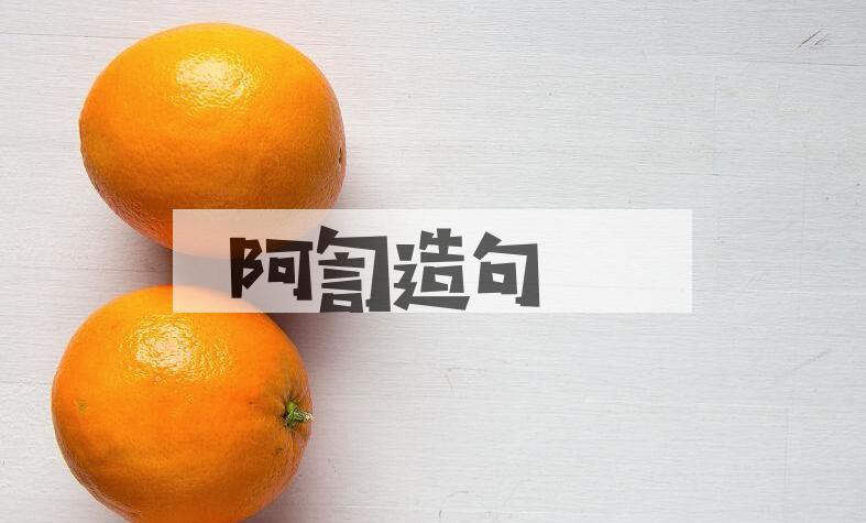 用阿訇造句
