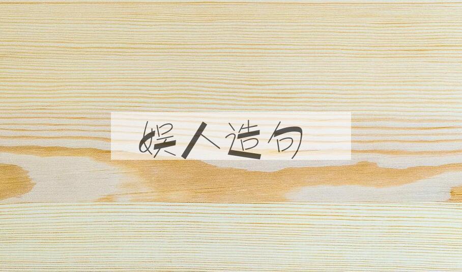 用娱人造句