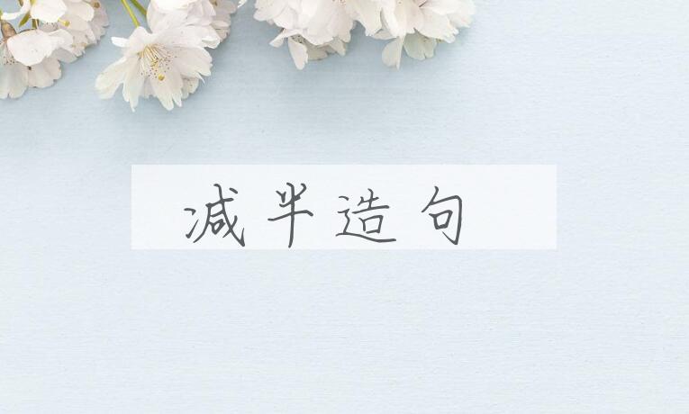用减半造句