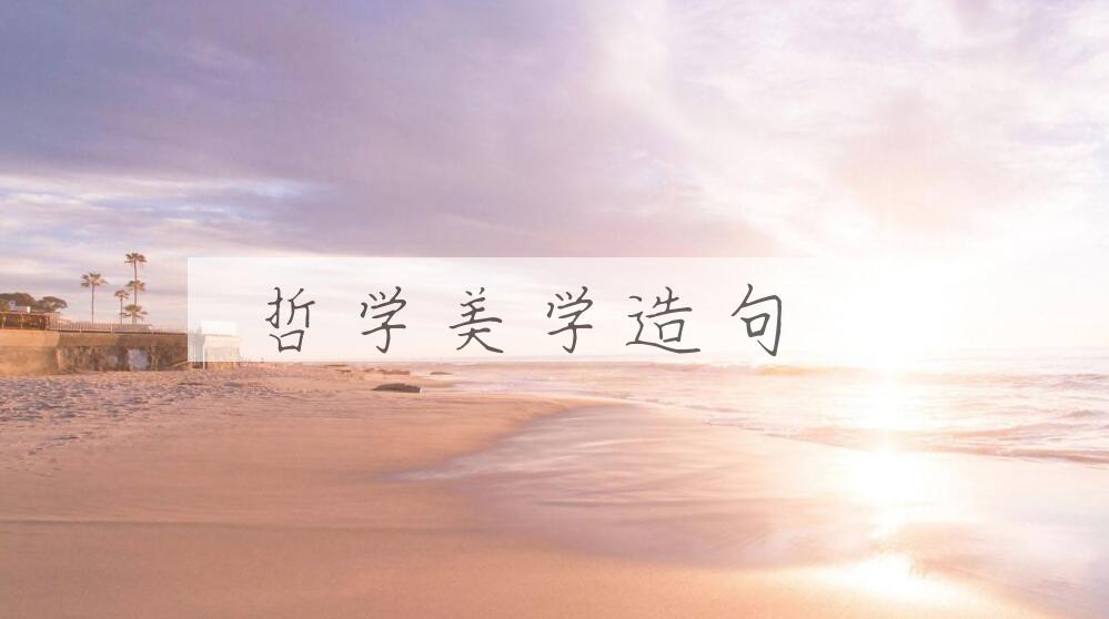 用哲学美学造句