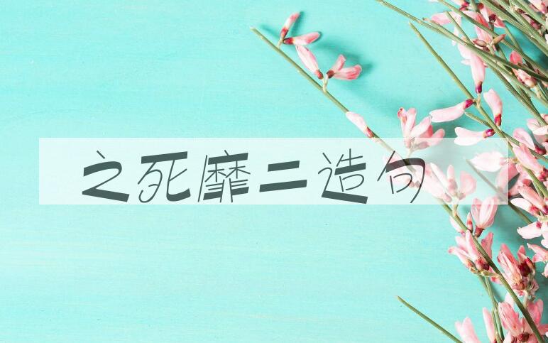 用之死靡二造句