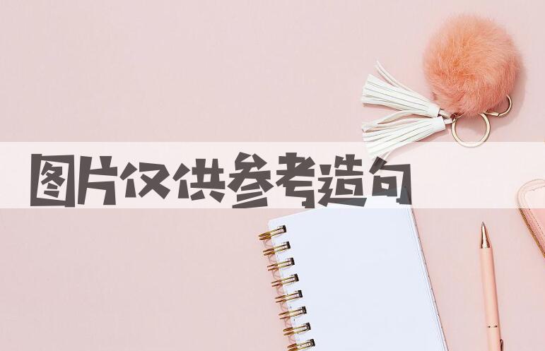 用图片仅供参考造句