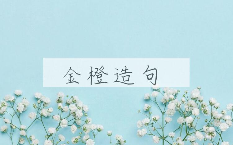 用金橙造句