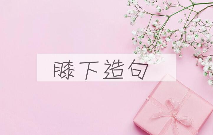 用膝下造句