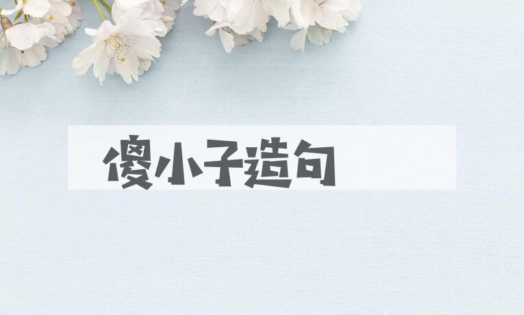 用傻小子造句