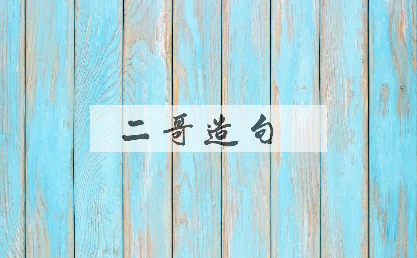 用二哥造句