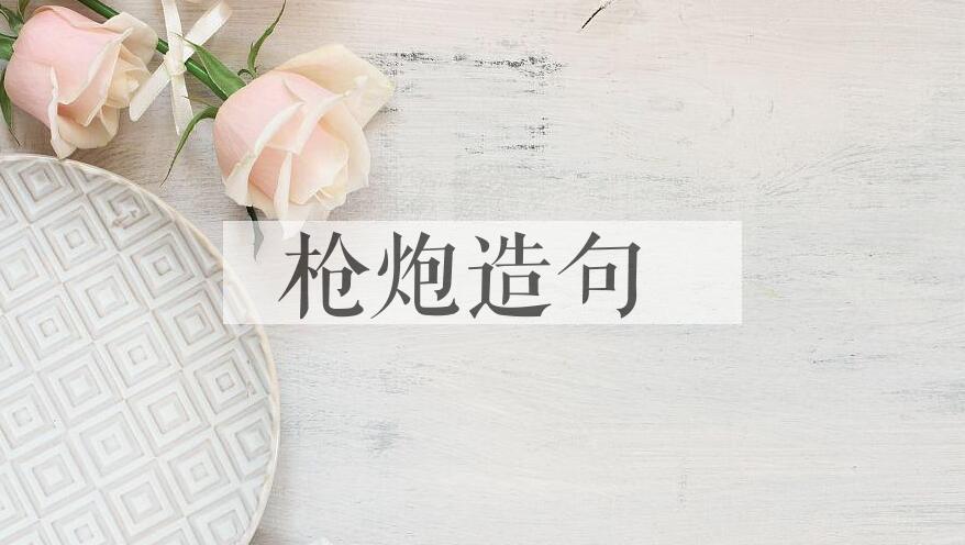 用枪炮造句