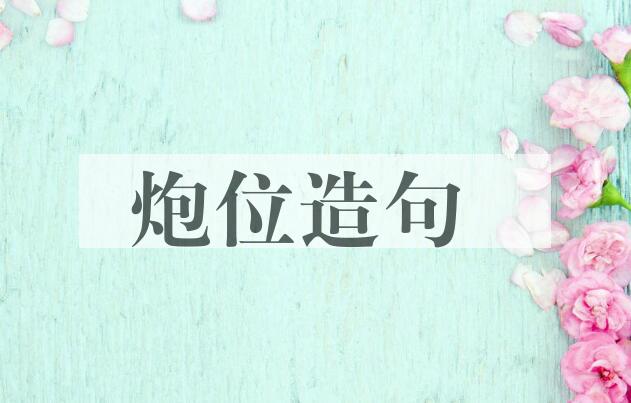用炮位造句
