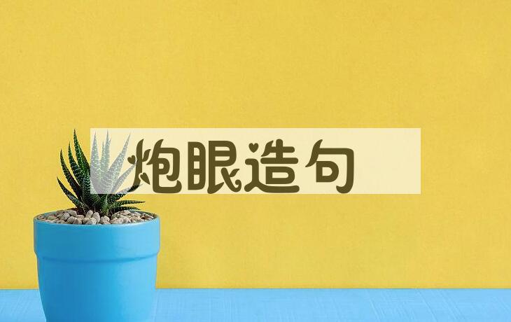 用炮眼造句