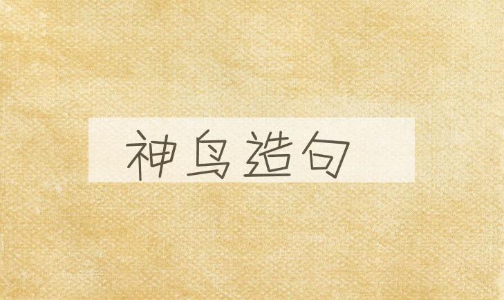 用神鸟造句