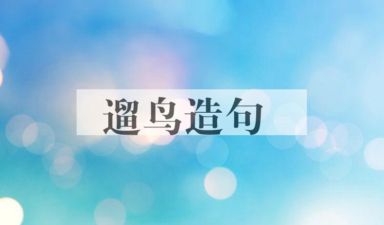 用遛鸟造句