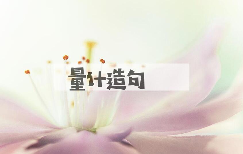 用量计造句