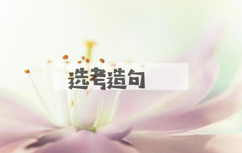 用选考造句