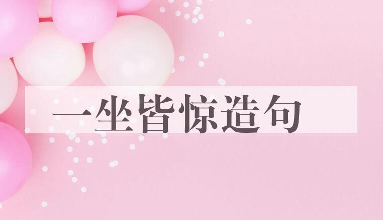 用一坐皆惊造句