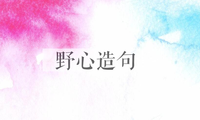 用野心造句