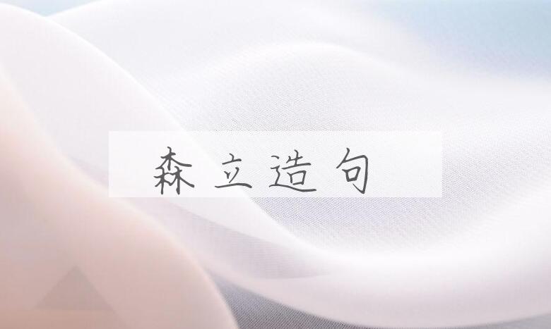 用森立造句
