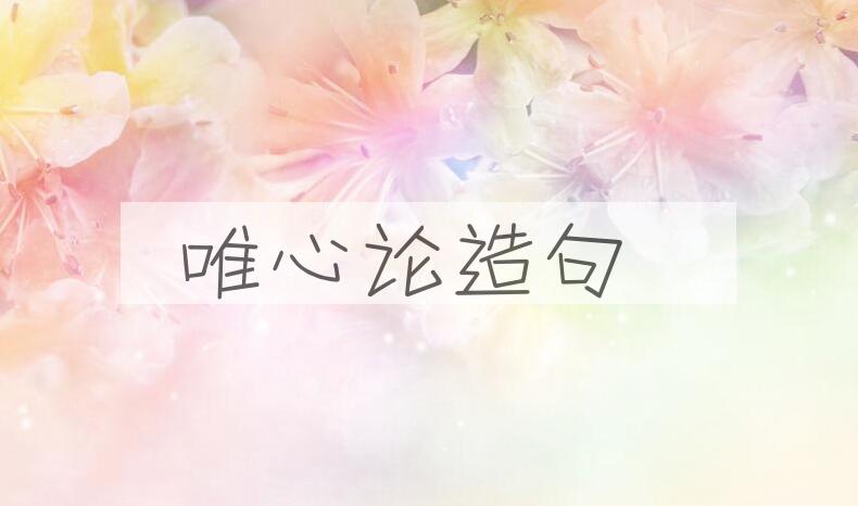 用唯心论造句