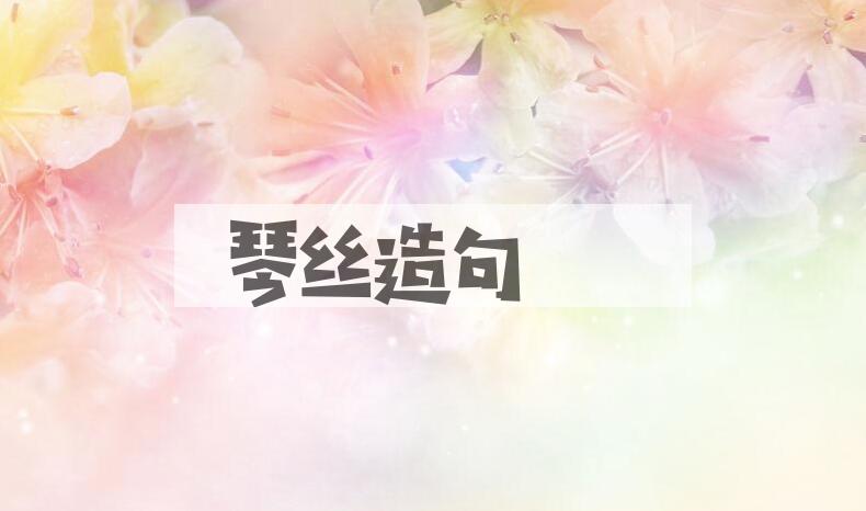 用琴丝造句
