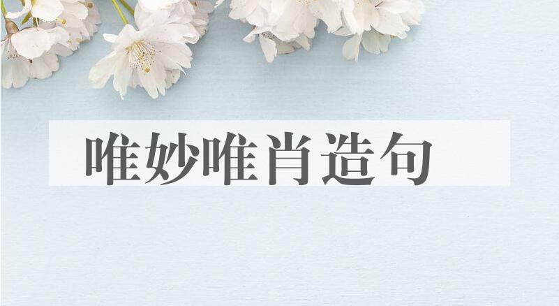 用唯妙唯肖造句