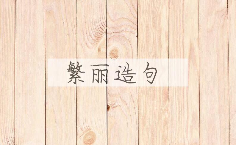 用繁丽造句