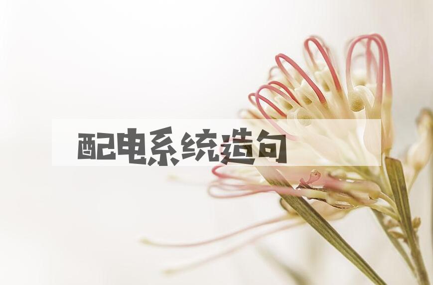 用配电系统造句