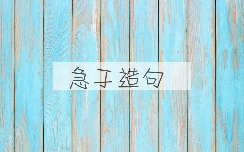 用急于造句
