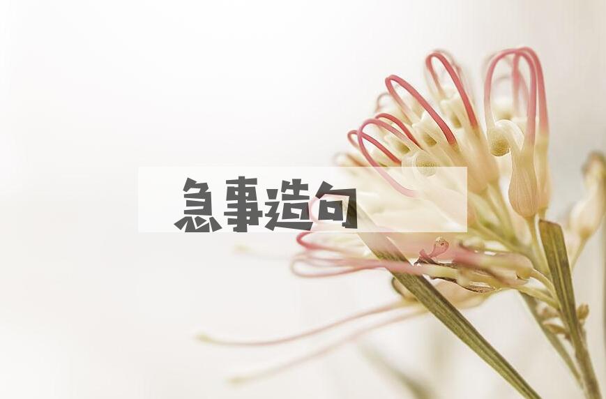 用急事造句