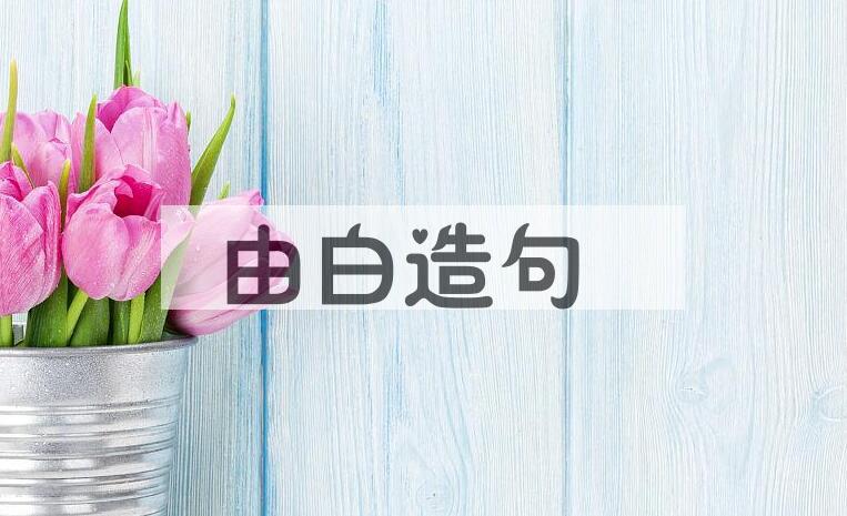 用由白造句