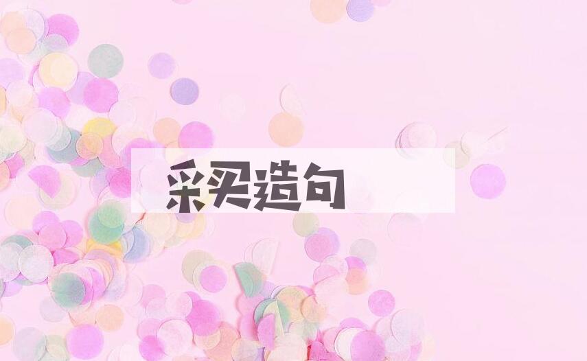 用采买造句