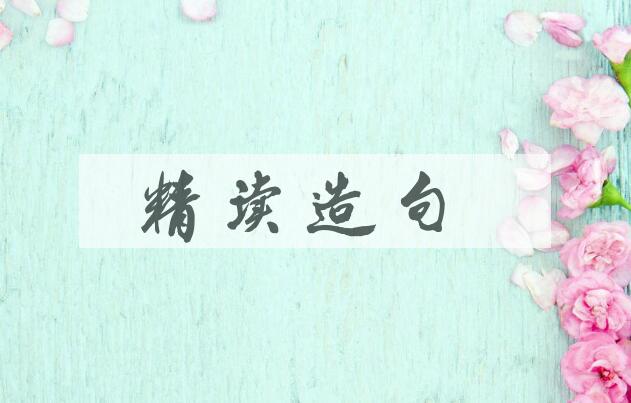 用精读造句