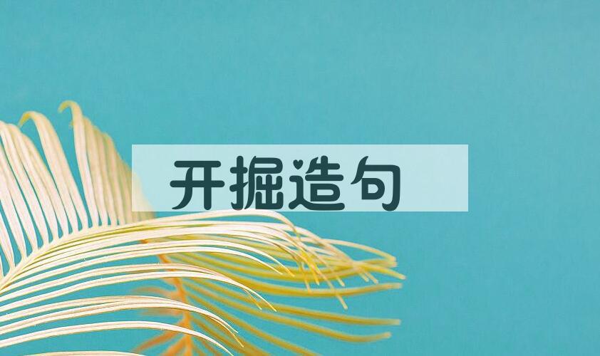 用开掘造句