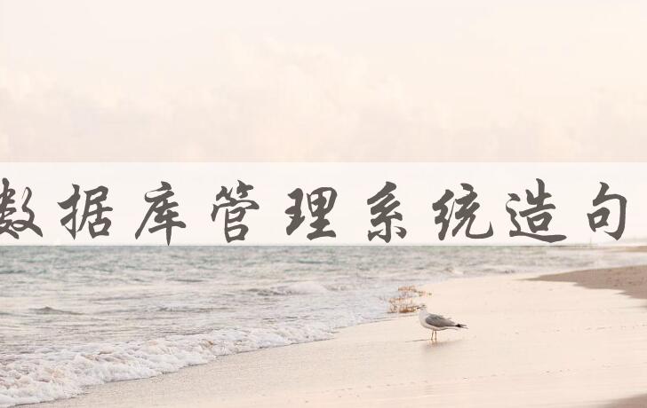 用数据库管理系统造句