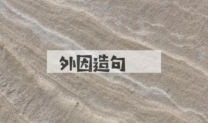 用外因造句