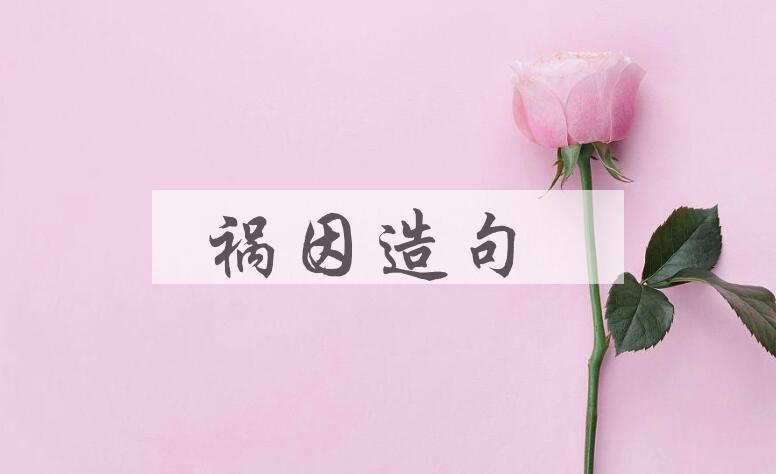 用祸因造句