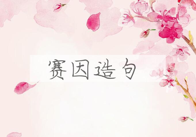 用赛因造句
