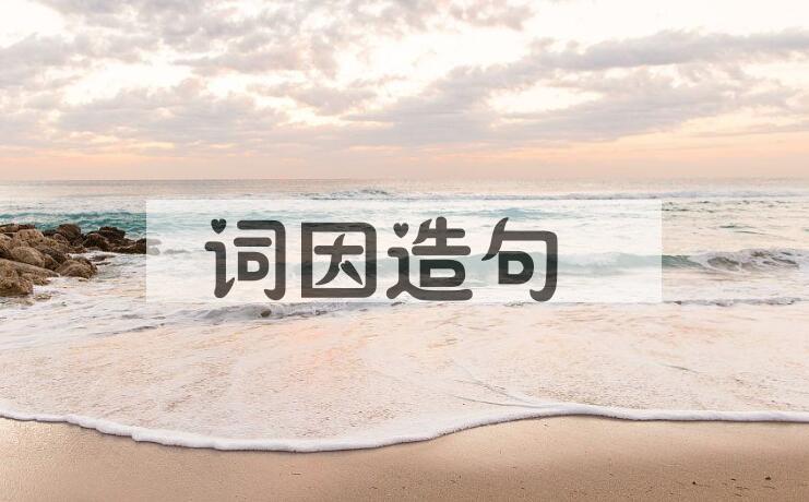 用词因造句