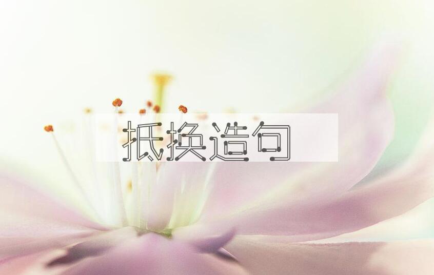 用抵换造句