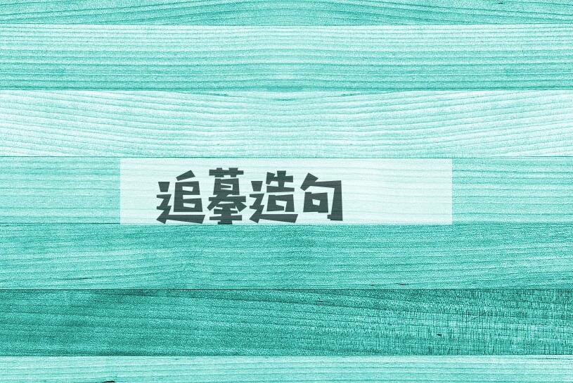 用追摹造句