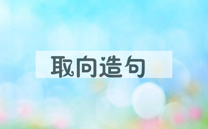 用取向造句