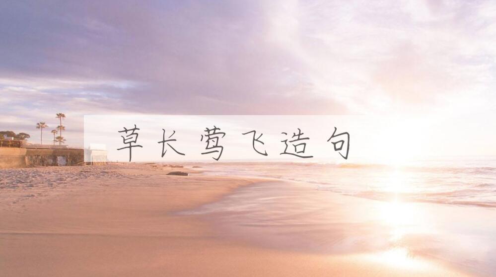 用草长莺飞造句
